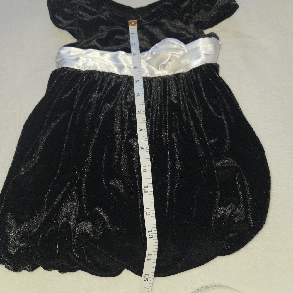 Sweet Heart Roses 18M Velvet Balloon Dress Satin Sash & Rose Posh Vintage Baby - Picture 14 of 16